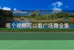 哪个视频可以看广场舞全集