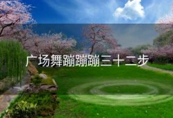 广场舞蹦蹦蹦三十二步