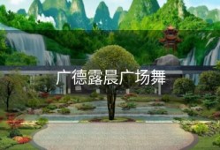 广德露晨广场舞