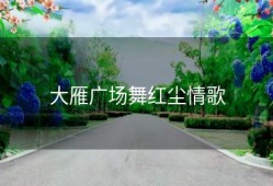 大雁广场舞红尘情歌