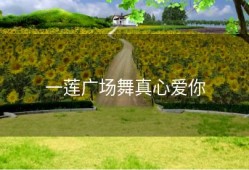 一莲广场舞真心爱你