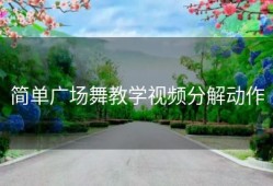 简单广场舞教学视频分解动作
