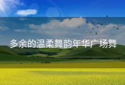 多余的温柔舞韵年华广场舞