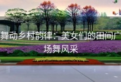 舞动乡村韵律：美女们的田间广场舞风采