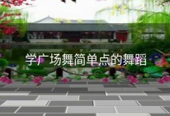 学广场舞简单点的舞蹈