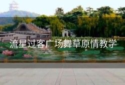 流星过客广场舞草原情教学