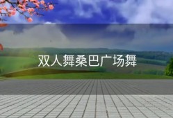 双人舞桑巴广场舞