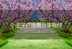 小王子广场舞分享视频