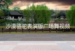 沙漠骆驼表演版广场舞视频