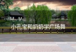 小孔宝和奶奶学广场舞