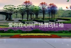 爱你在心间广场舞dj红袖