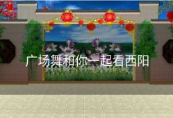 广场舞和你一起看西阳