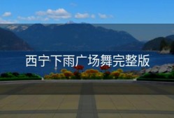 西宁下雨广场舞完整版