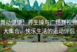 舞动健康：养生操与广场舞视频大集合，快乐生活的运动伴侣