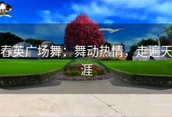 春英广场舞：舞动热情，走遍天涯