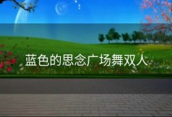 蓝色的思念广场舞双人