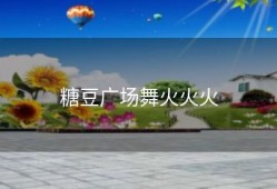 糖豆广场舞火火火