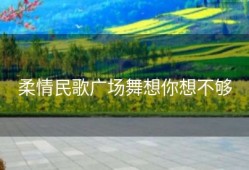 柔情民歌广场舞想你想不够