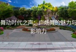 舞动时代之声：广场舞的魅力与影响力