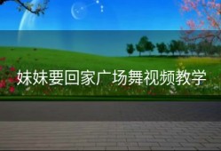 妹妹要回家广场舞视频教学