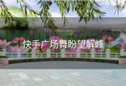 快手广场舞盼望解峰