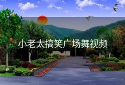 小老太搞笑广场舞视频