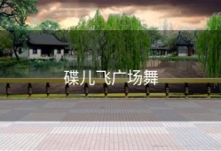 碟儿飞广场舞