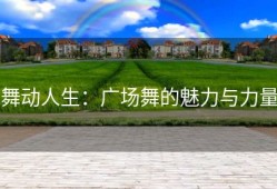 舞动人生：广场舞的魅力与力量