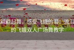 翩翩起舞，感受飞蛾的泪：流泪的飞蛾双人广场舞教学