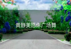 黄静美愿你广场舞