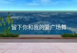 留下你和我的爱广场舞