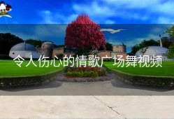 令人伤心的情歌广场舞视频