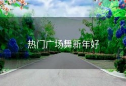 热门广场舞新年好