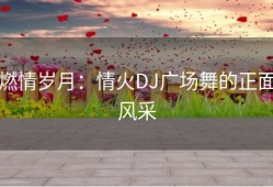 燃情岁月：情火DJ广场舞的正面风采
