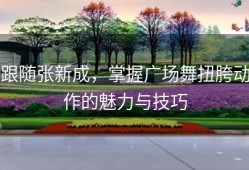 跟随张新成，掌握广场舞扭胯动作的魅力与技巧