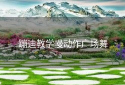 蹦迪教学慢动作广场舞