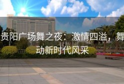贵阳广场舞之夜：激情四溢，舞动新时代风采