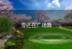 雪还在广场舞