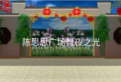 陈思思广场舞夜之光