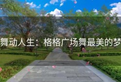 舞动人生：格格广场舞最美的梦