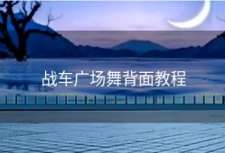 战车广场舞背面教程