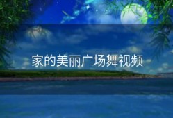 家的美丽广场舞视频