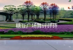 糖豆广场舞砰砰砰