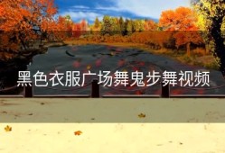 黑色衣服广场舞鬼步舞视频
