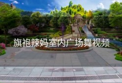 旗袍辣妈室内广场舞视频