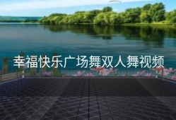 幸福快乐广场舞双人舞视频