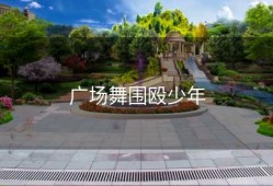 广场舞围殴少年