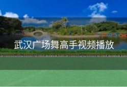 武汉广场舞高手视频播放