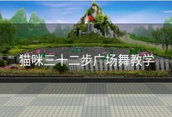 猫咪三十二步广场舞教学