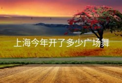 上海今年开了多少广场舞